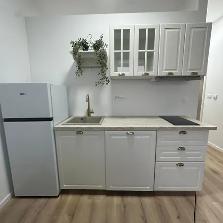 Apartment Alac Drasnice
